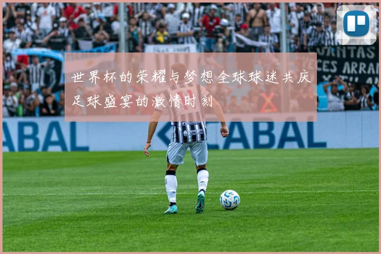 世界杯的荣耀与梦想全球球迷共庆足球盛宴的激情时刻