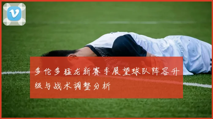 多伦多猛龙新赛季展望球队阵容升级与战术调整分析